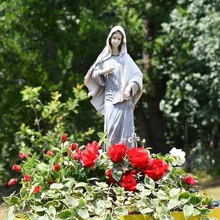 Casa Del Pellegrino M&A - Ostojići Medjugorje Exterior foto