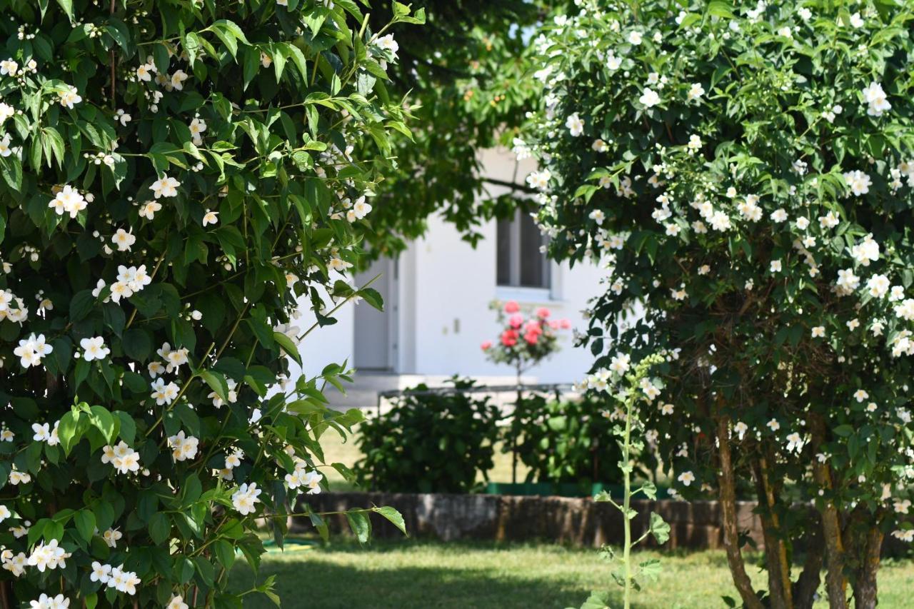 Casa Del Pellegrino M&A - Ostojići Medjugorje Exterior foto